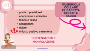 contenimento postoperatorio manipolazione